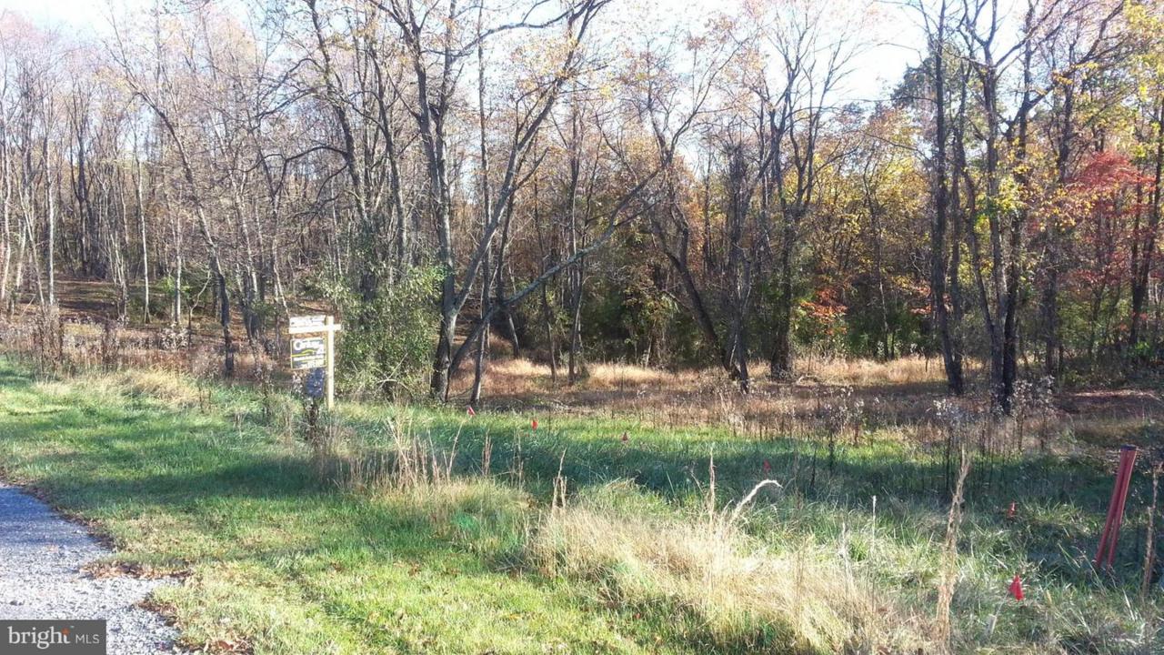 Harvest Drive - Photo 1