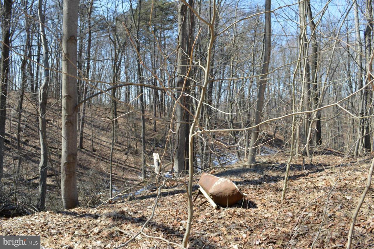 Little Creek Trail - Photo 1