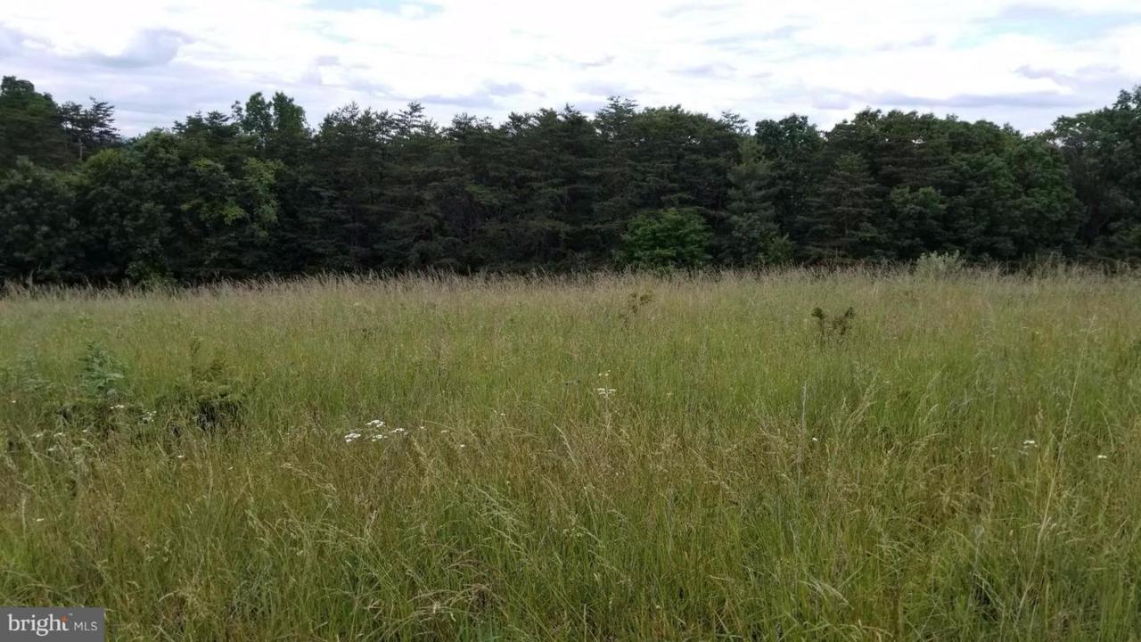 Mockingbird Hill Lane - Photo 1