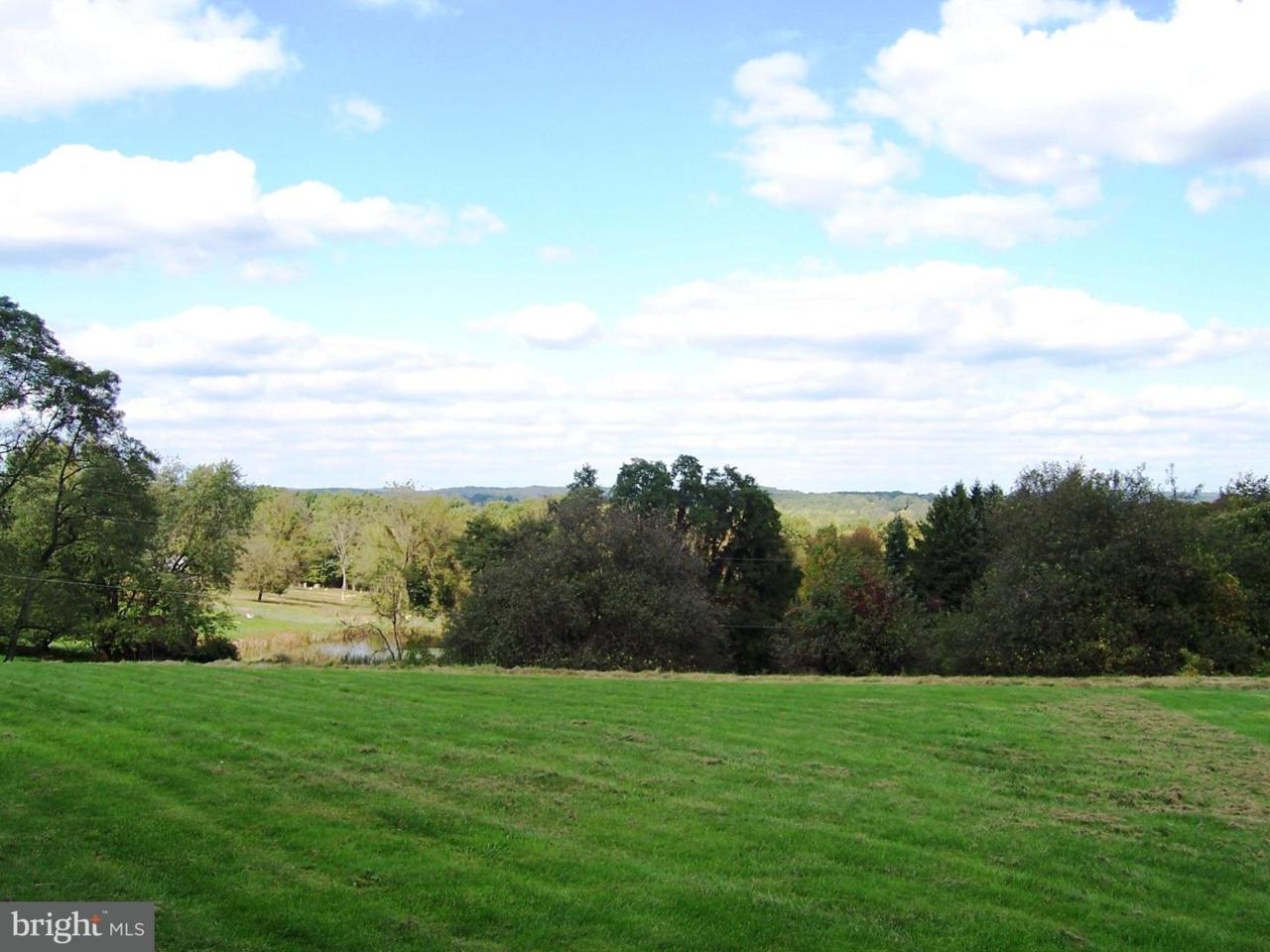 1675 Horseshoe Pike - Photo 1