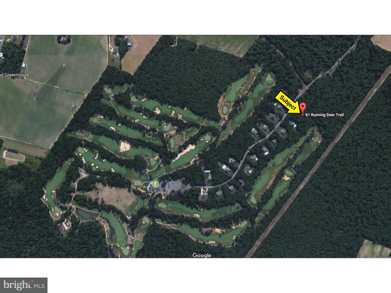 81 Running Deer Trail - Photo 1