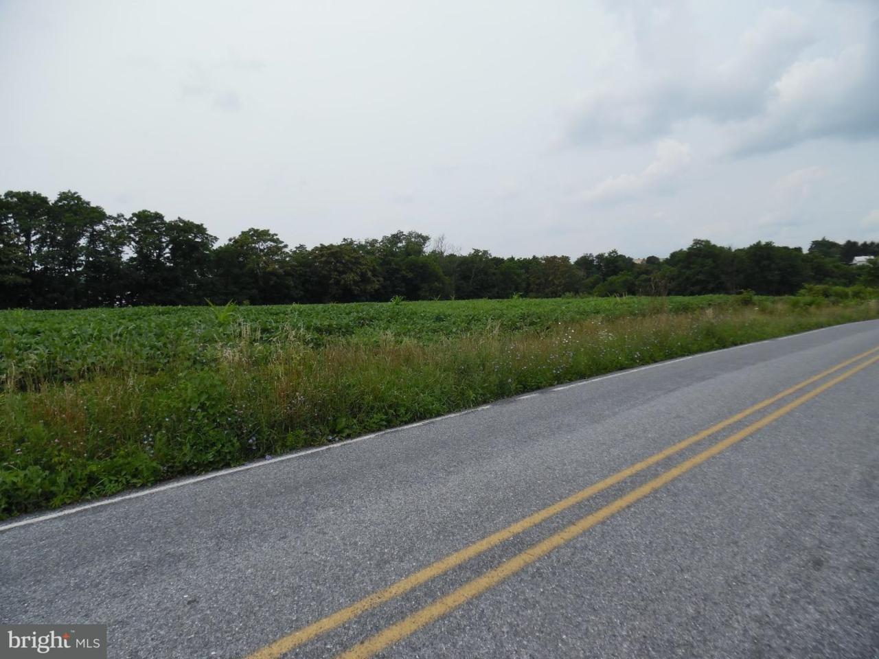 Lot 5 Stouchsburg Road - Photo 1