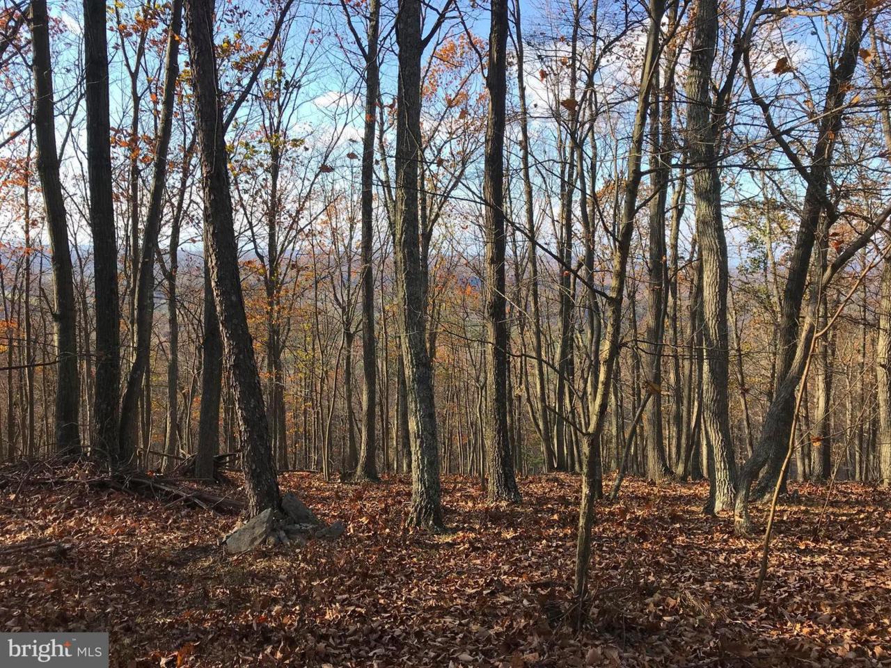 3 Chestnut Ridge Road - Photo 1