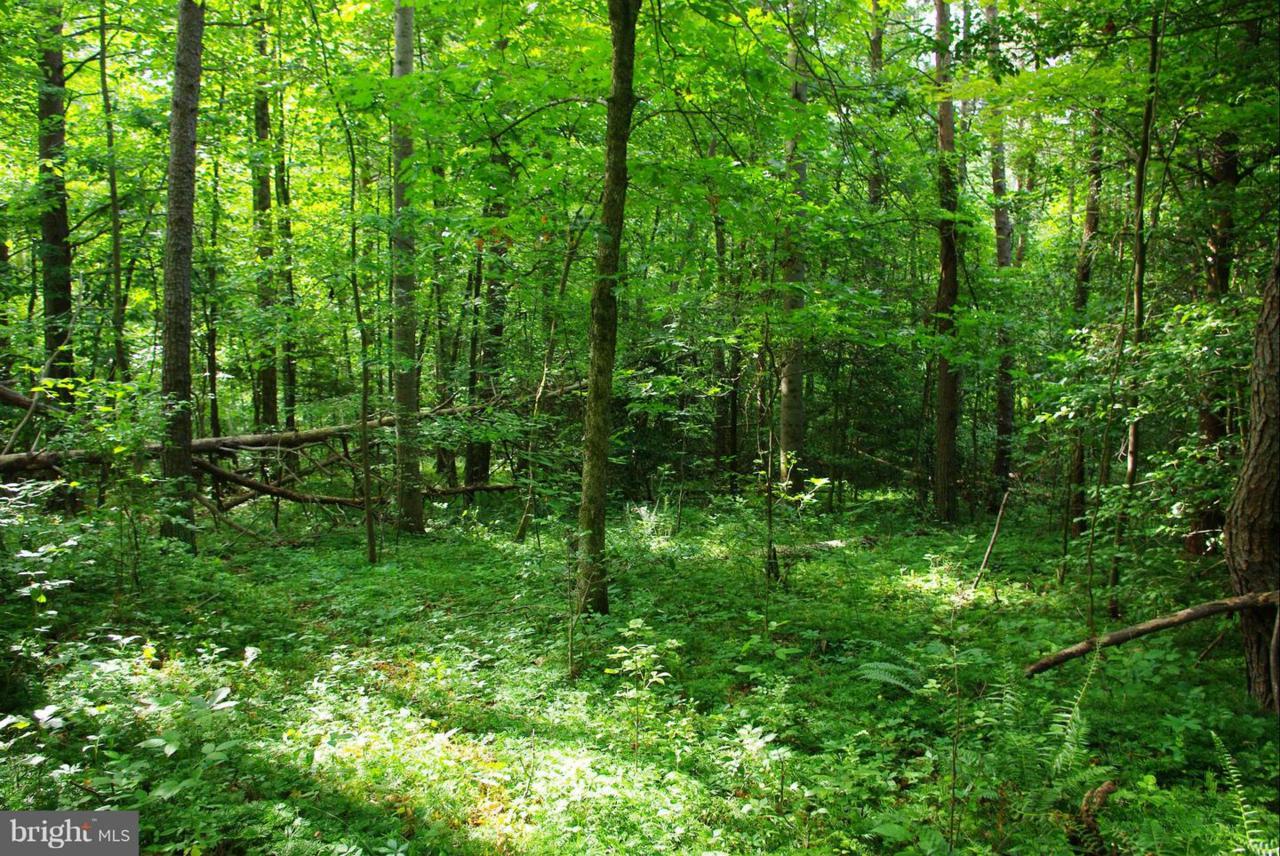 LOT 11 Yeawood Drive - Photo 1