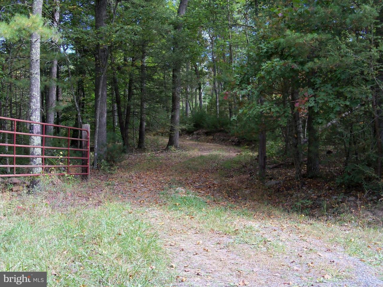 Crooked Run Road - Photo 1