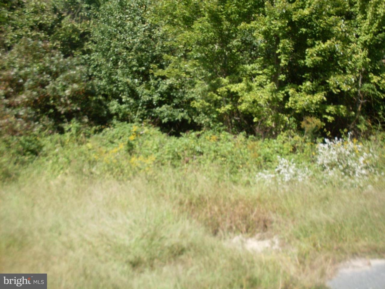 Indian Bone Road - Photo 1