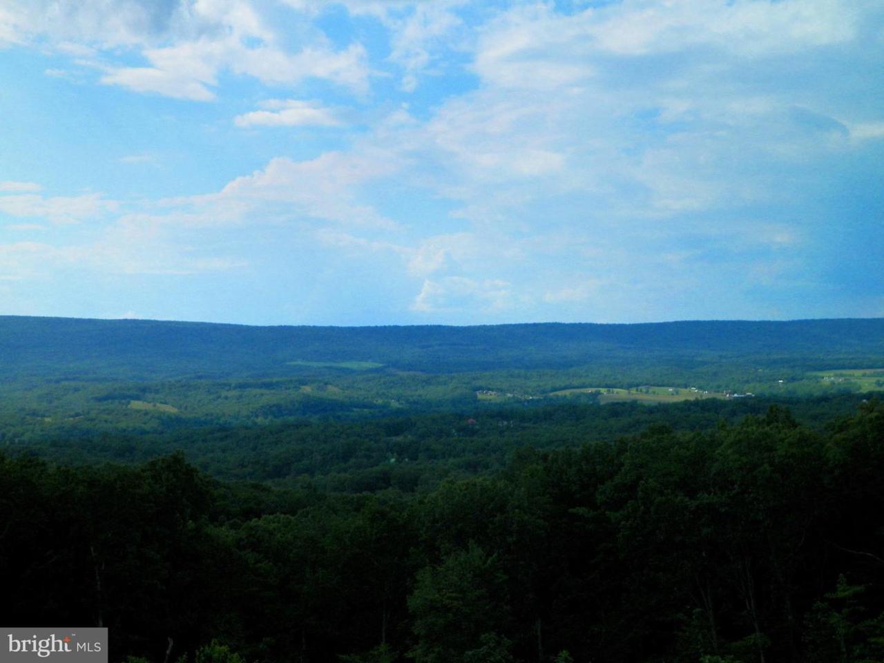 Tuscarora Pike - Photo 1
