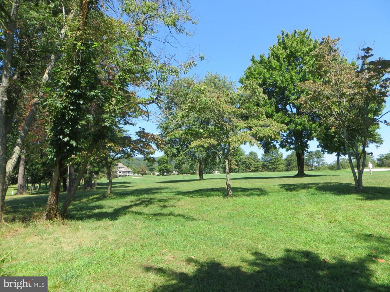 13 Nokomis Trail - Photo 1