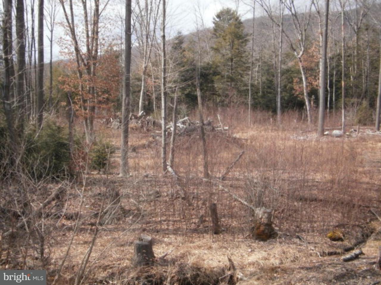 Lot #20 Cedar Creek Drive - Photo 1