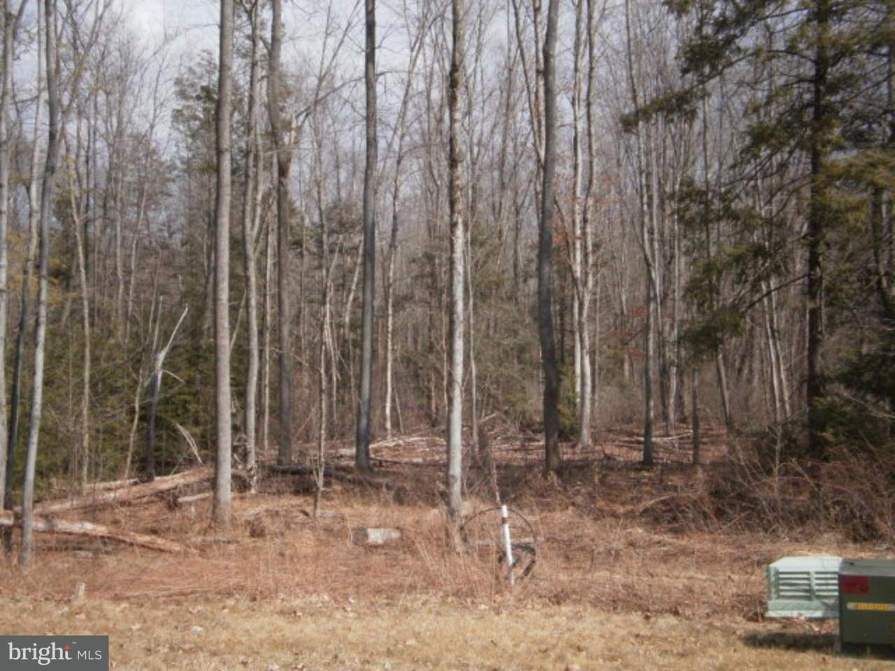 Lot #25 Cedar Creek Drive - Photo 1