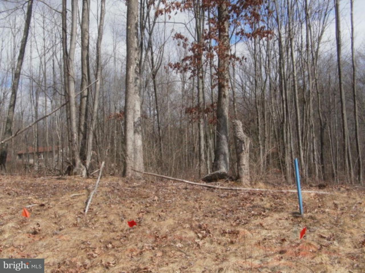 Lot #26 Cedar Creek Drive - Photo 1