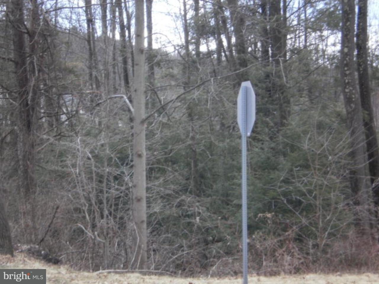 Lot #28 Academy Lane - Photo 1