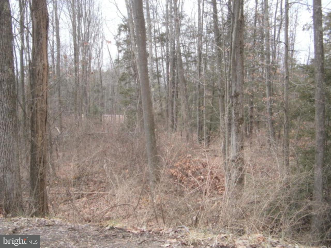 Lot #29 Academy Lane - Photo 1