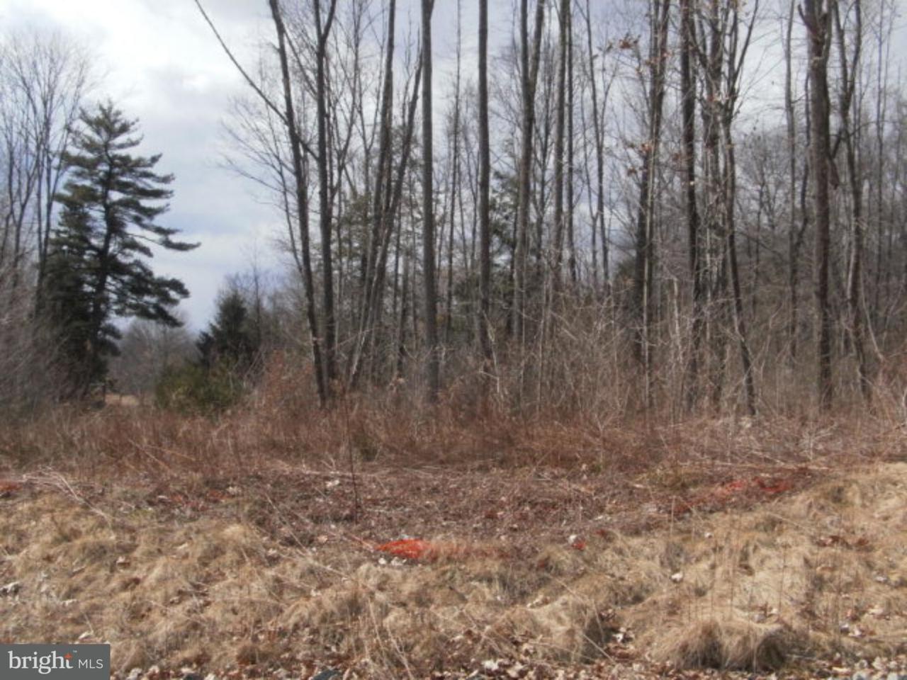 Lot 17 Cedar Creek Drive - Photo 1
