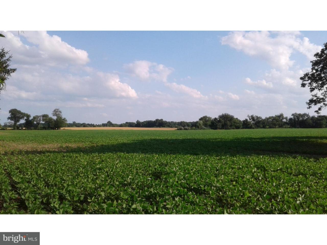 254 Route 45 - Photo 1