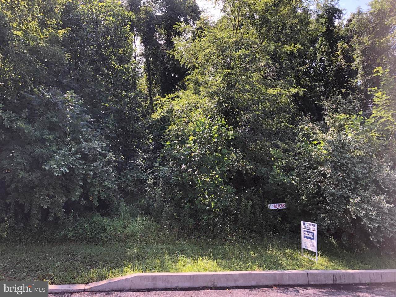 613 Musket Ct - Photo 1