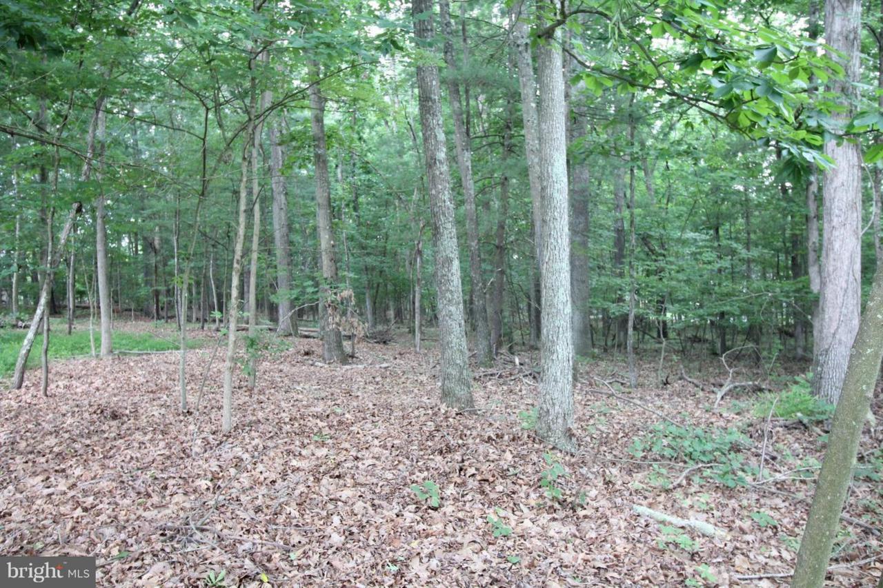 Warden Circle Rd. - Photo 1
