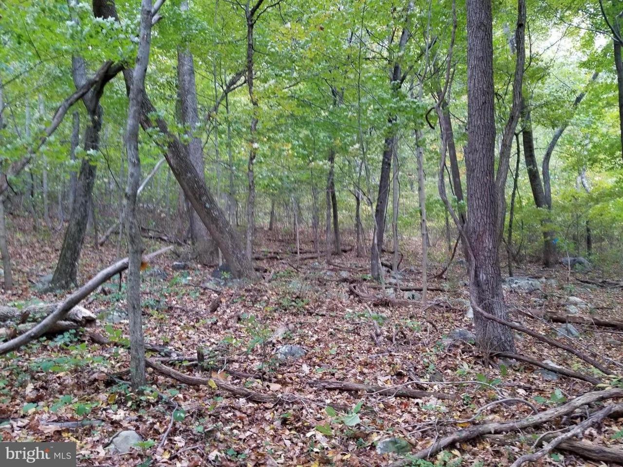 Cold Run Valley Road - Photo 1