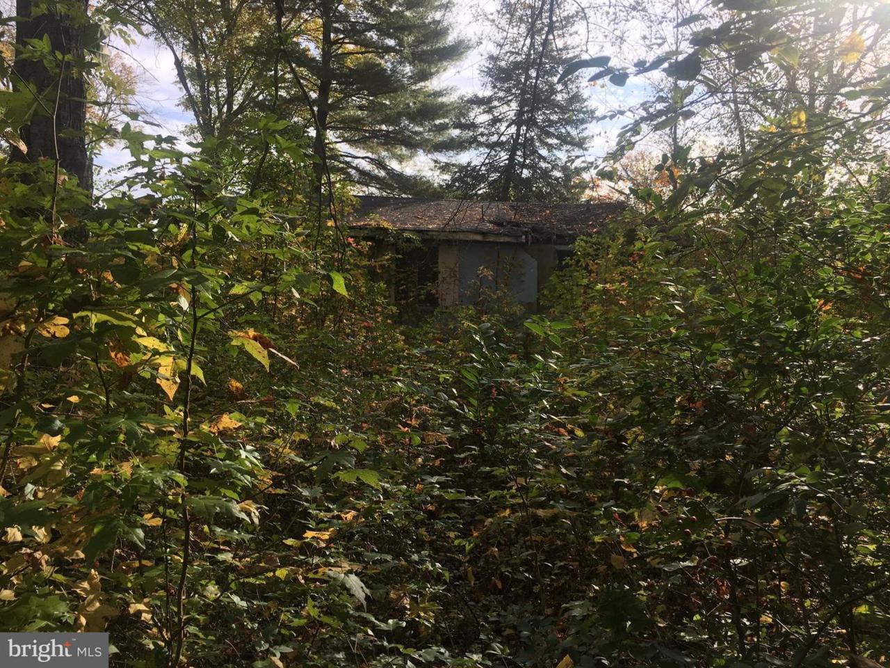 4162 Muddy Creek Road - Photo 1