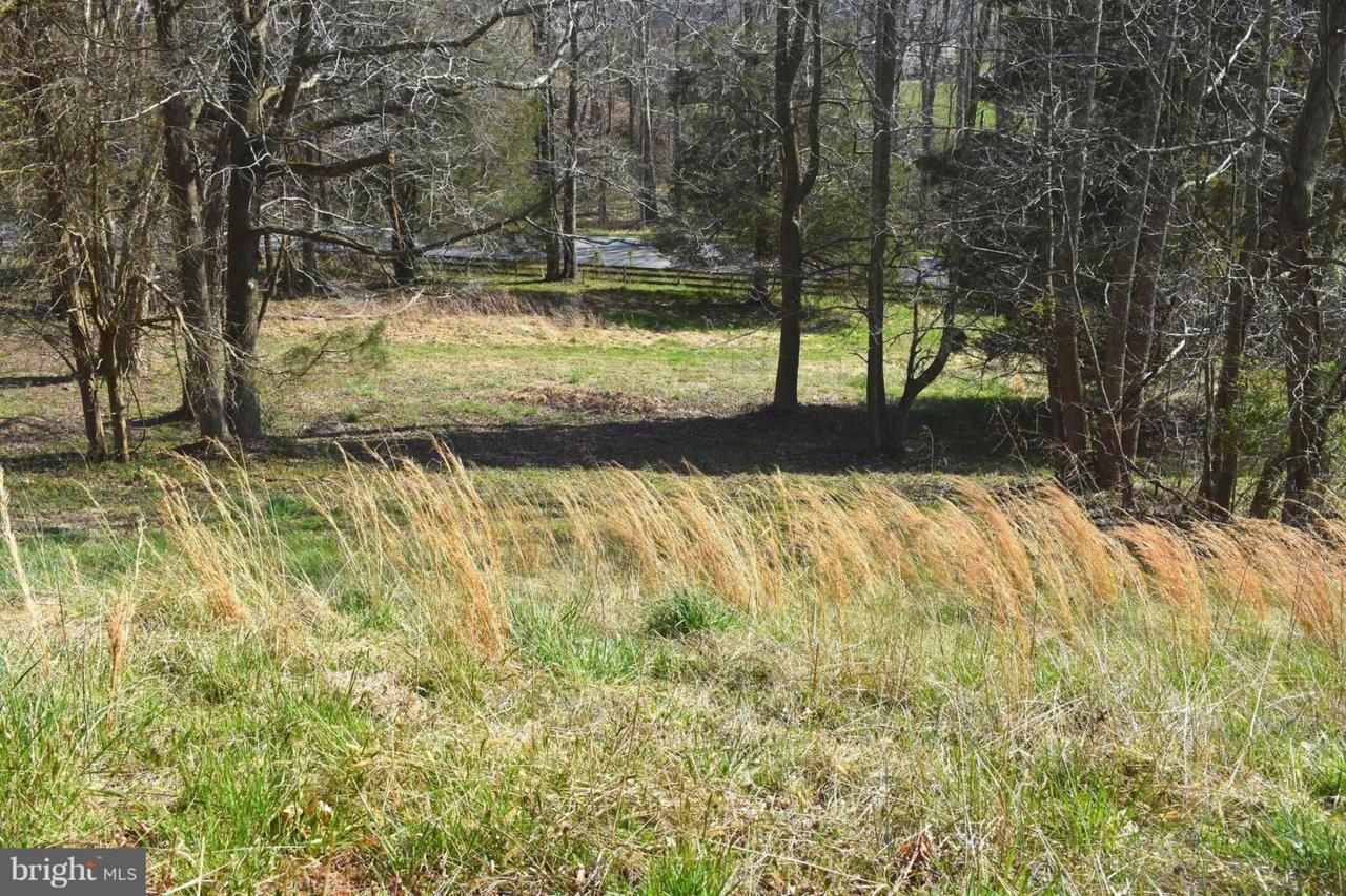 8610 Locust Grove Drive - Photo 1