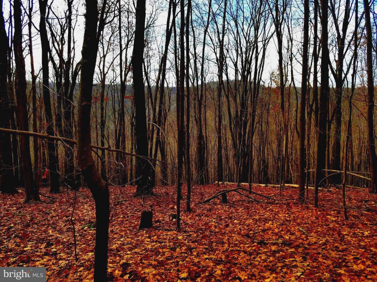 224Lot-LOT Bear Run Road - Photo 1