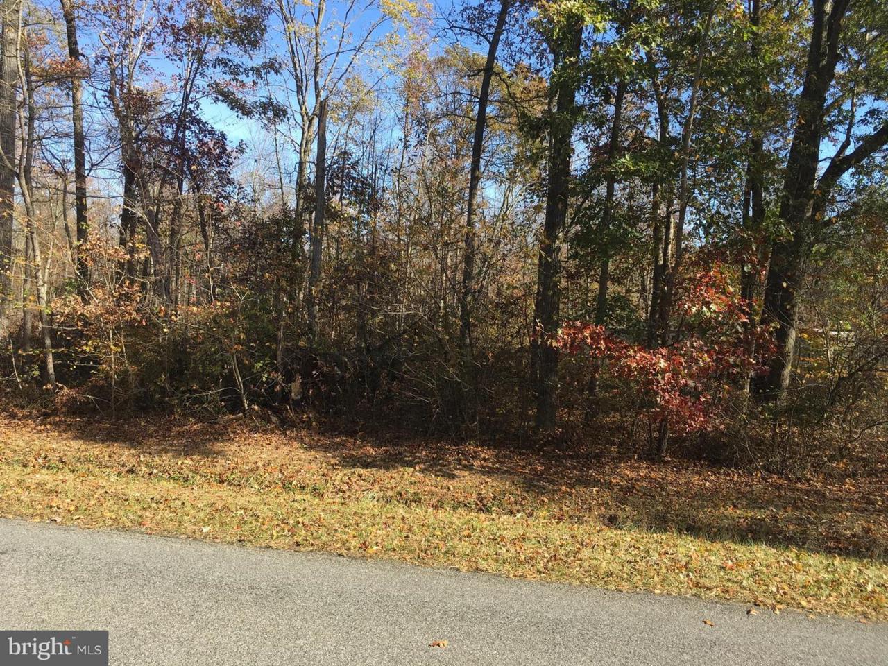 44 Big Woods Big Woods Road - Photo 1