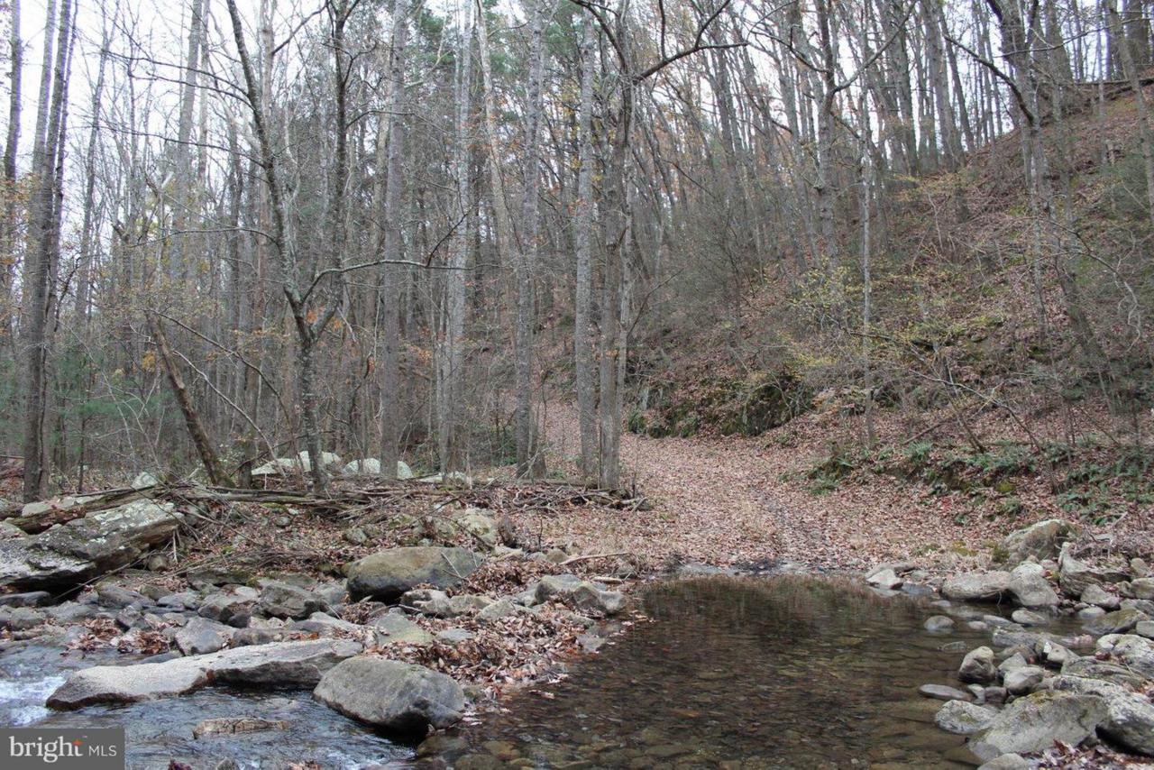 450 Old Jones Place Road - Photo 1