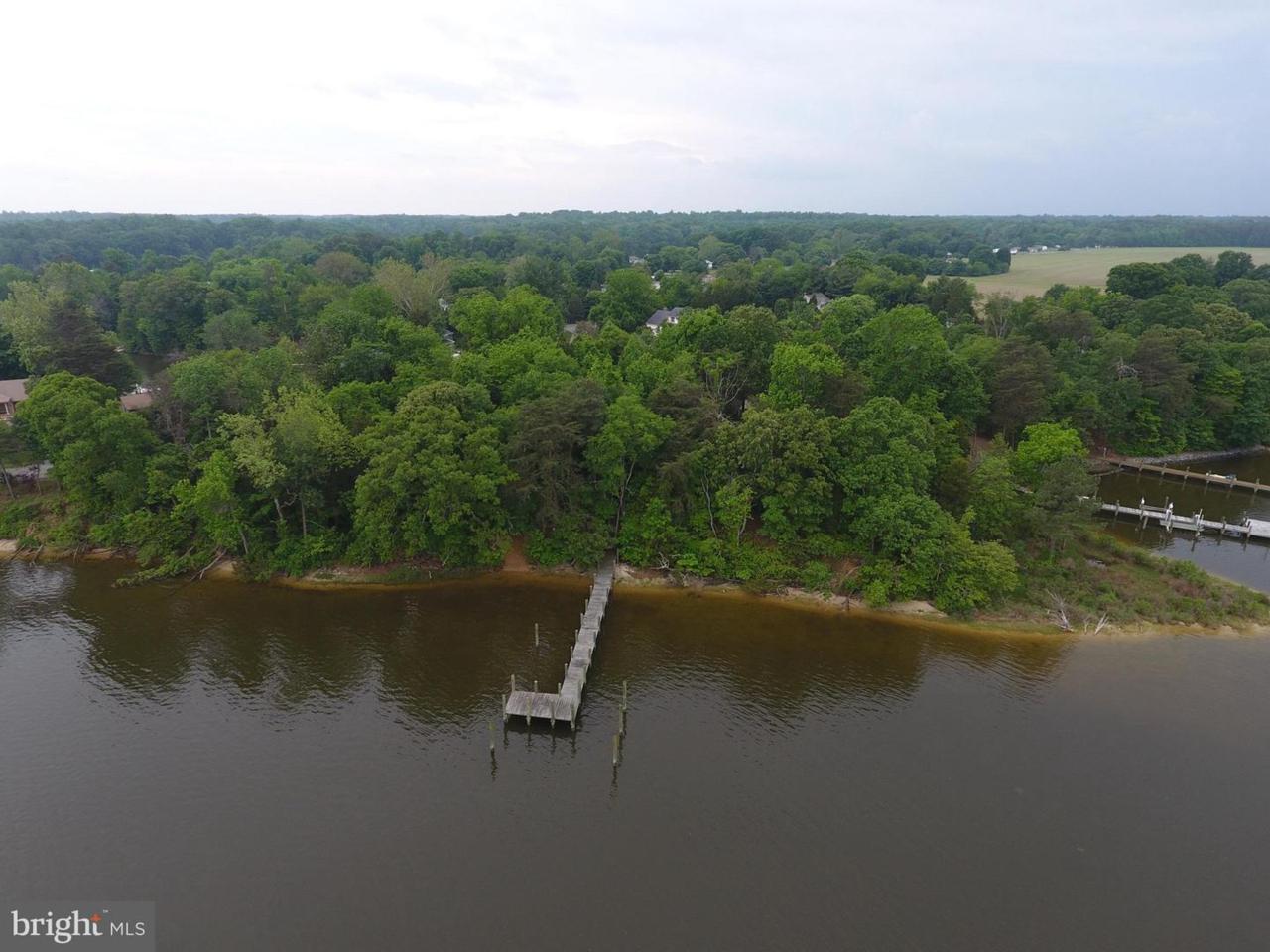 45300 Daniels Road - Photo 1