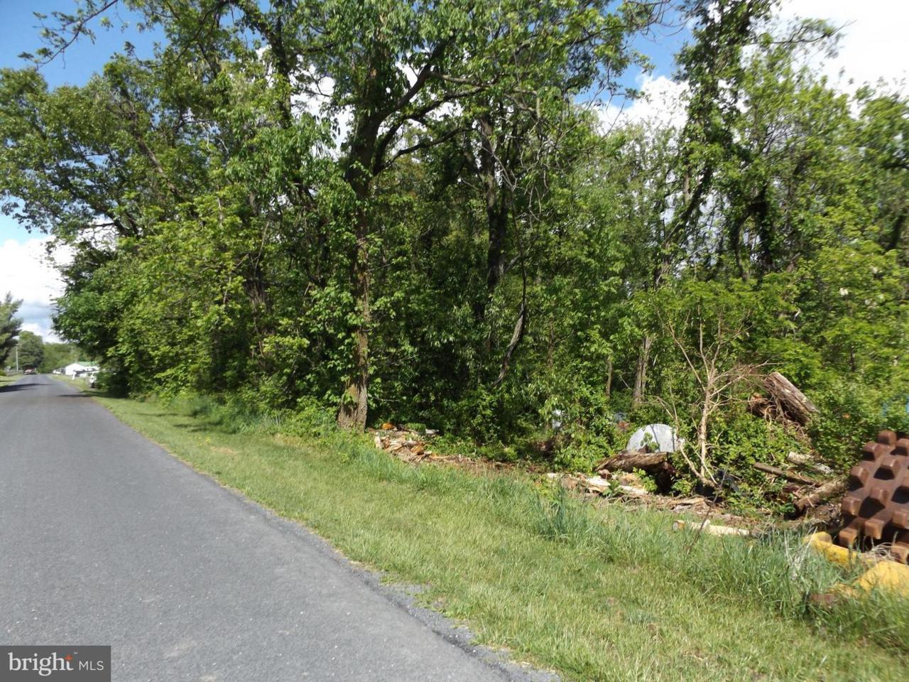 Gravel Town Road - Photo 1