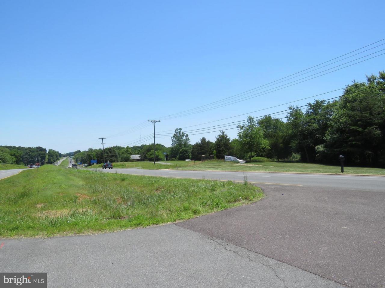 0 James Monroe Highway - Photo 1