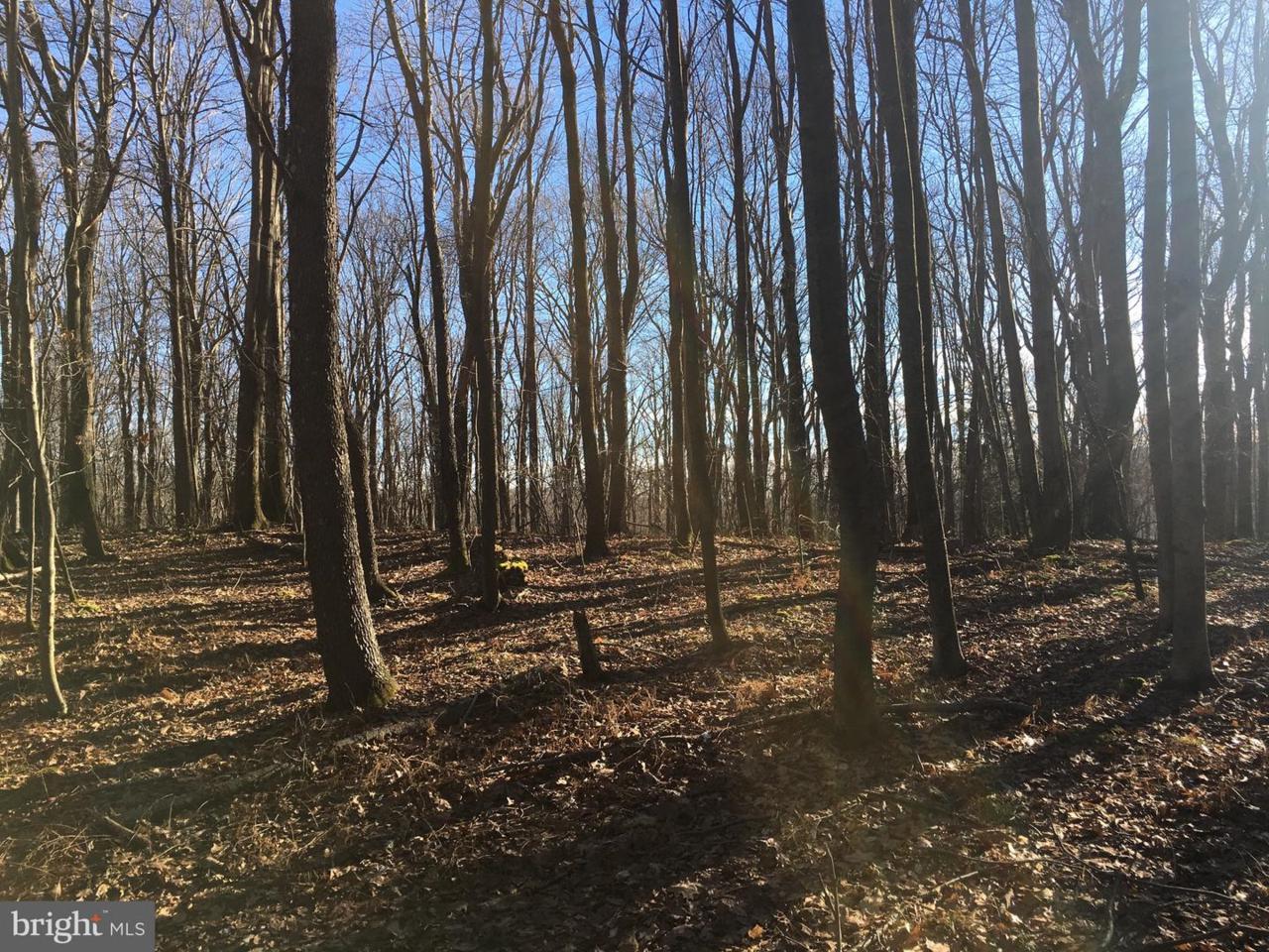 Palmer Road - Photo 1