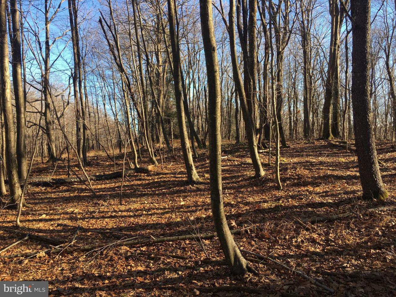 17323 Three Notch Road - Photo 1