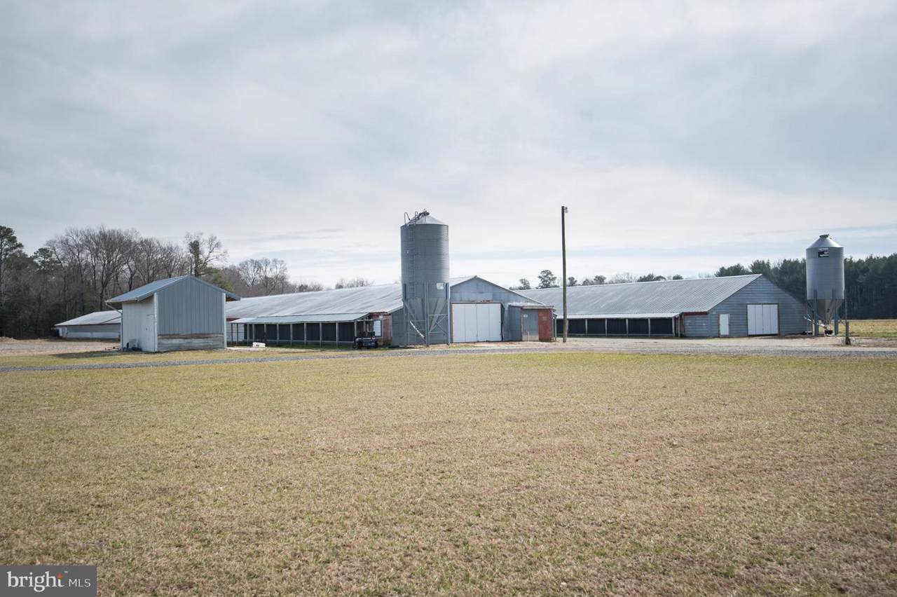 6305 Church Home Road - Photo 1