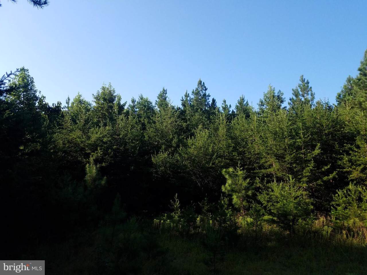 1600 Chopping Road - Photo 1