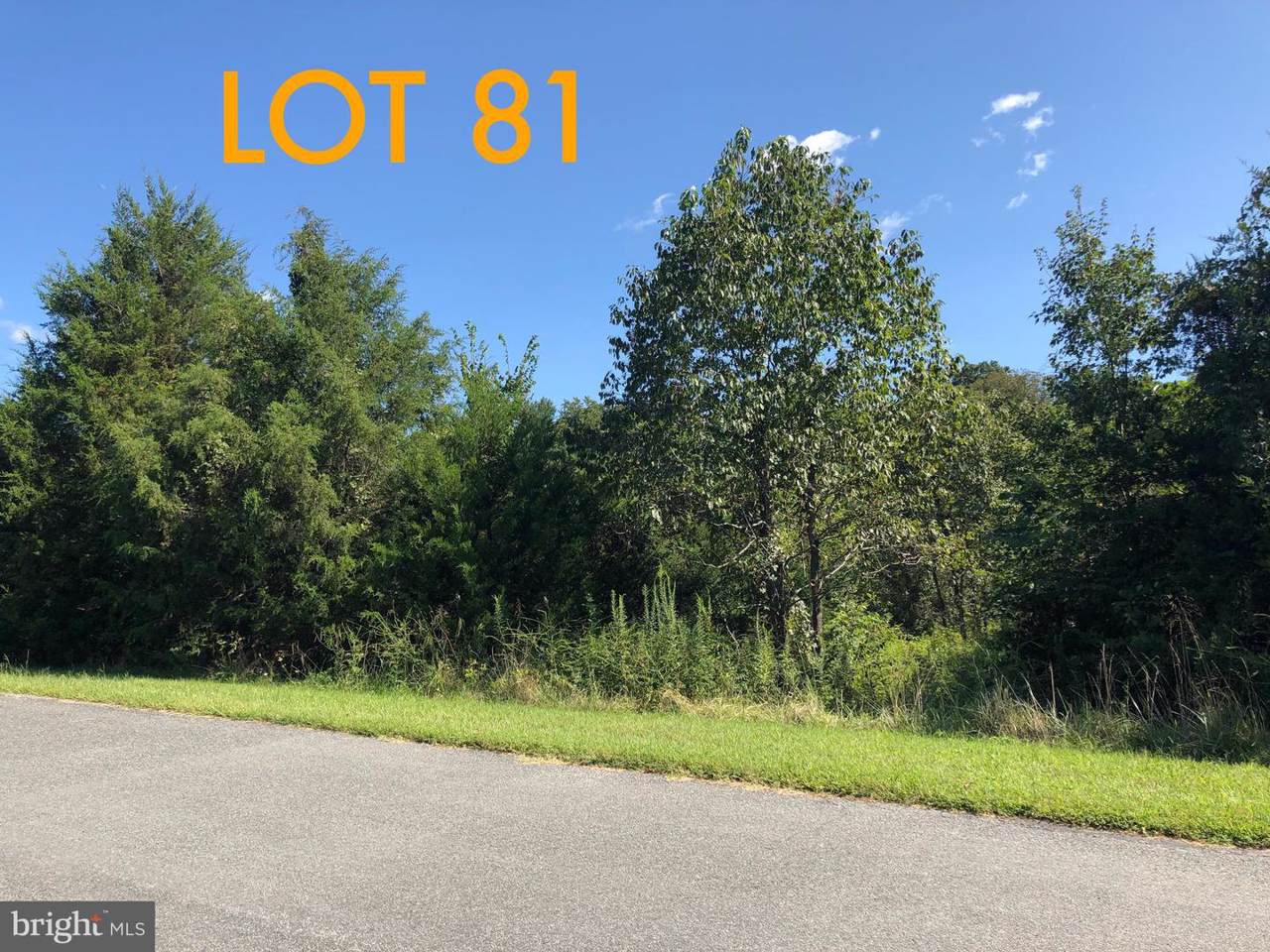 Pimlico Ln Lot 81 - Photo 1