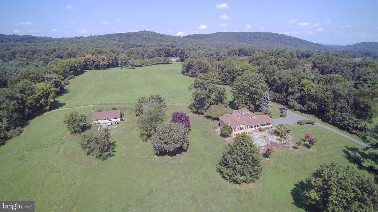 42203 Sugarloaf View Lane - Photo 1