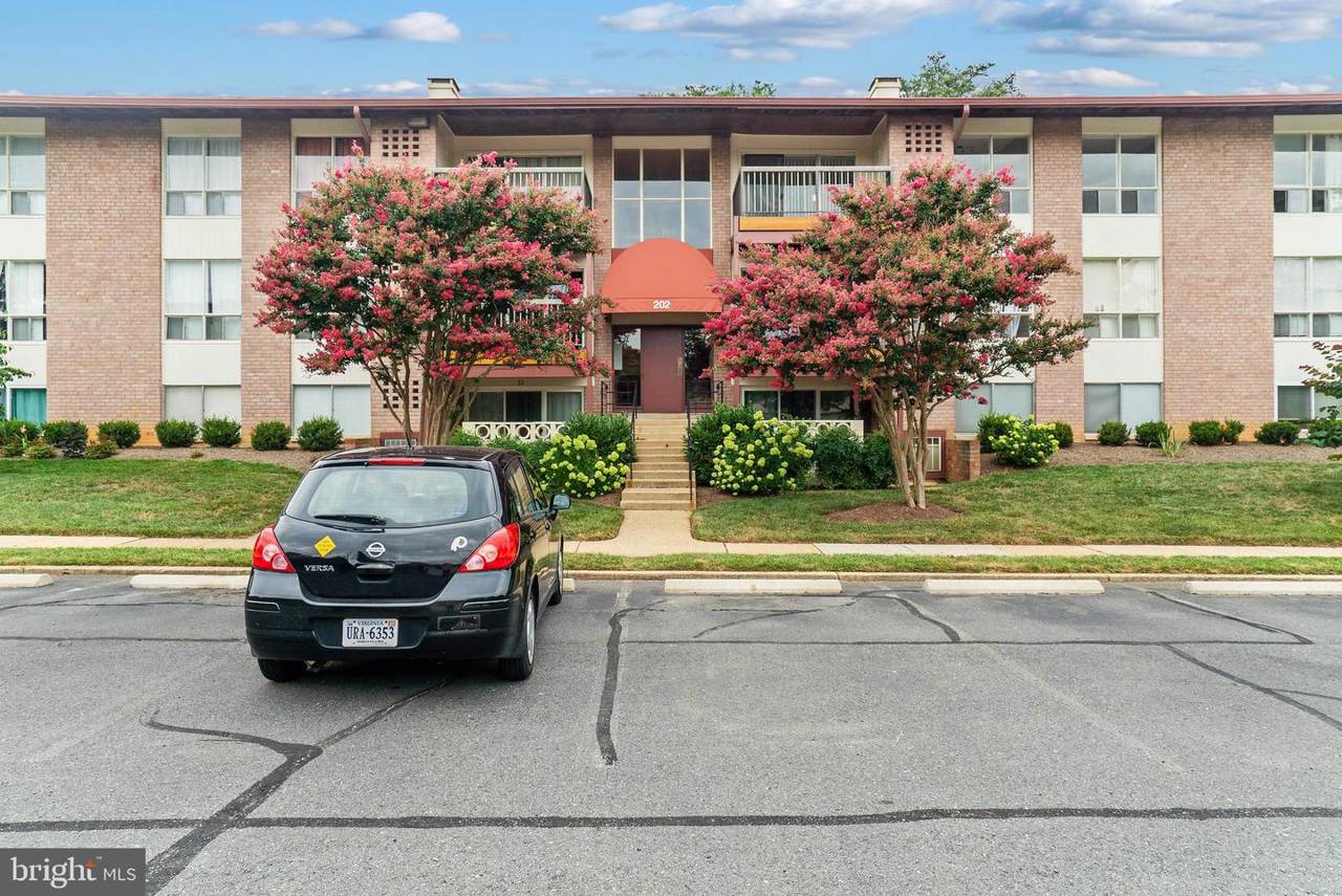 202 Park Terrace Court - Photo 1