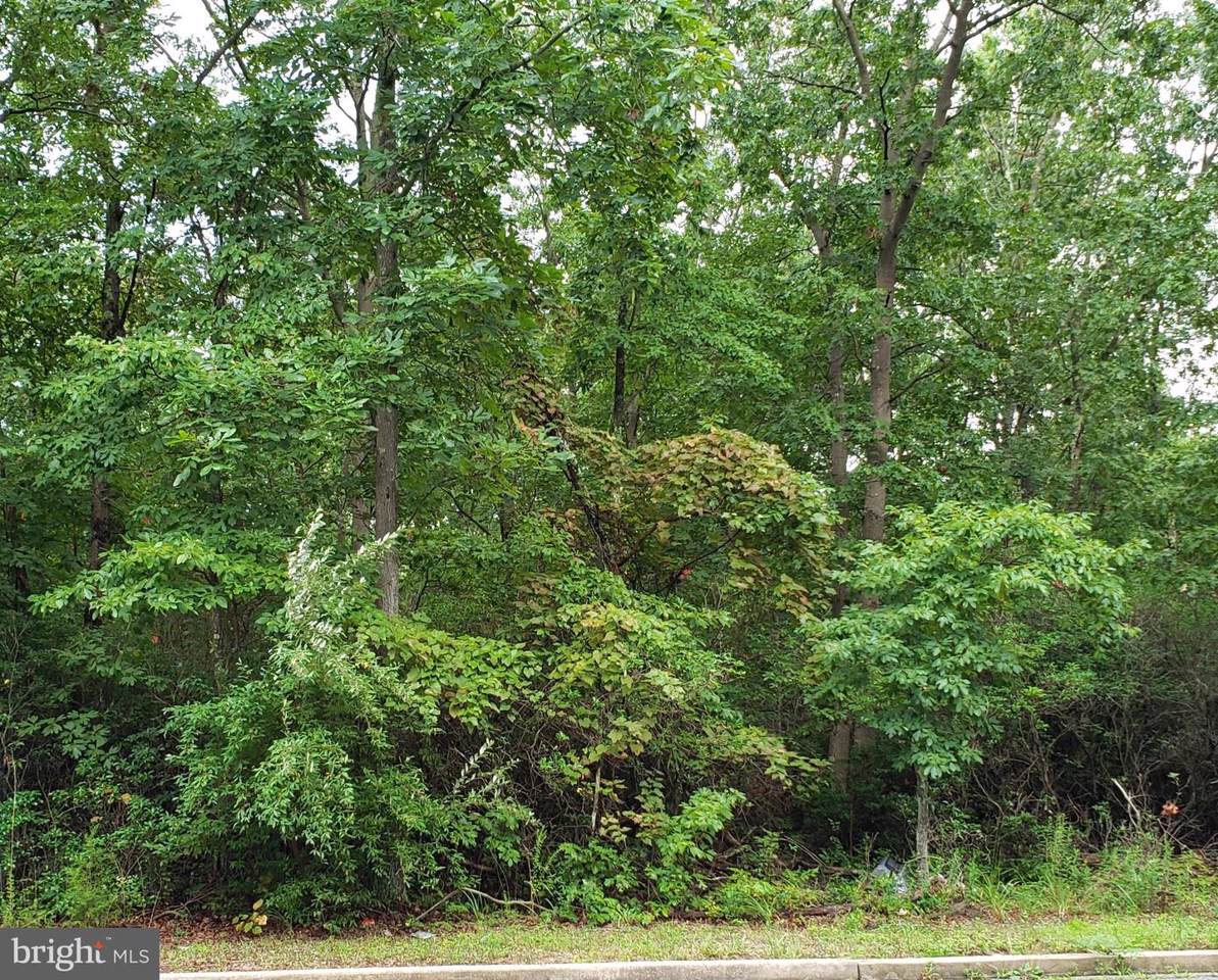 3477 Cedarville Road - Photo 1