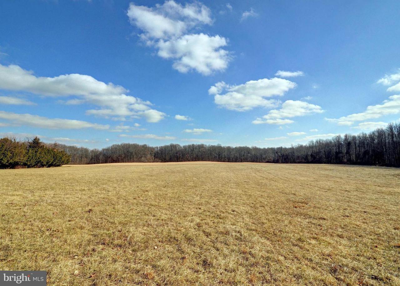 415 Robin Hood Road - Photo 1
