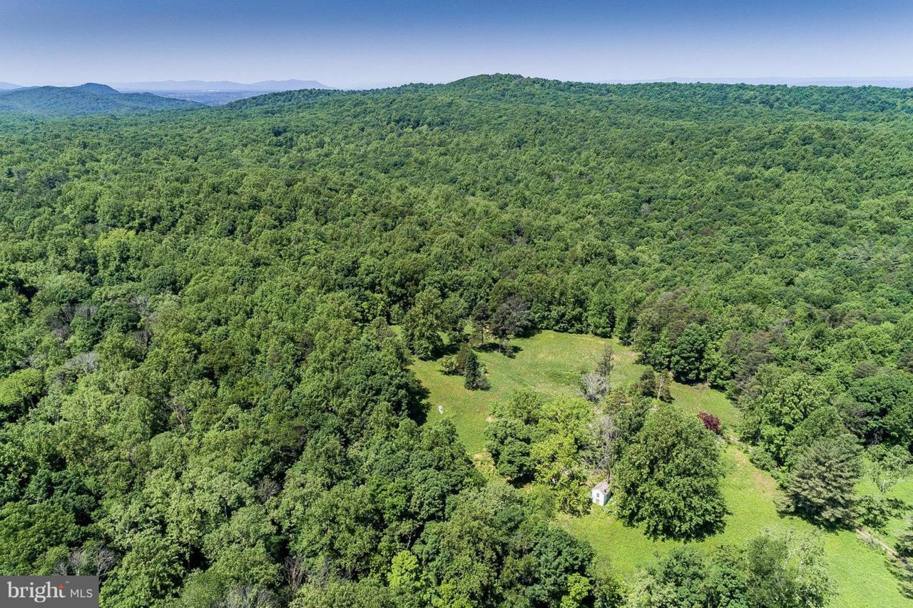 2683 Mount Carmel - Photo 1