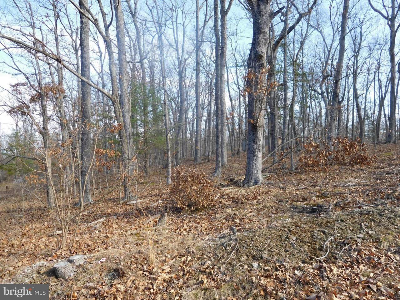 Chestnut Drive - Photo 1