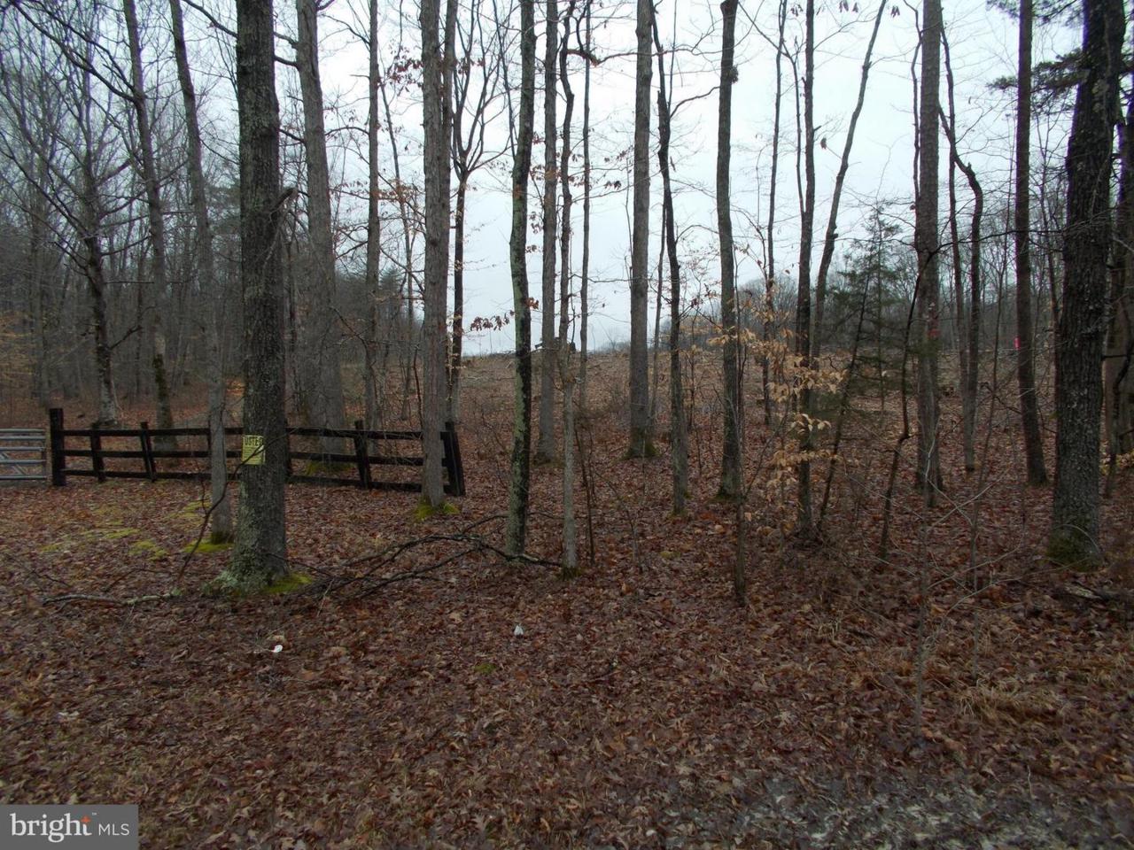 0 Byrd Mill Road - Photo 1