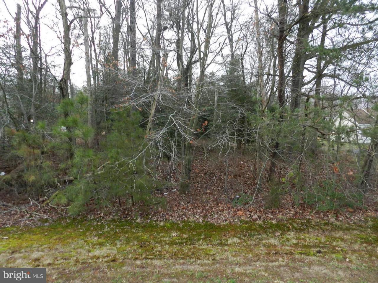 Ridge Road - Photo 1