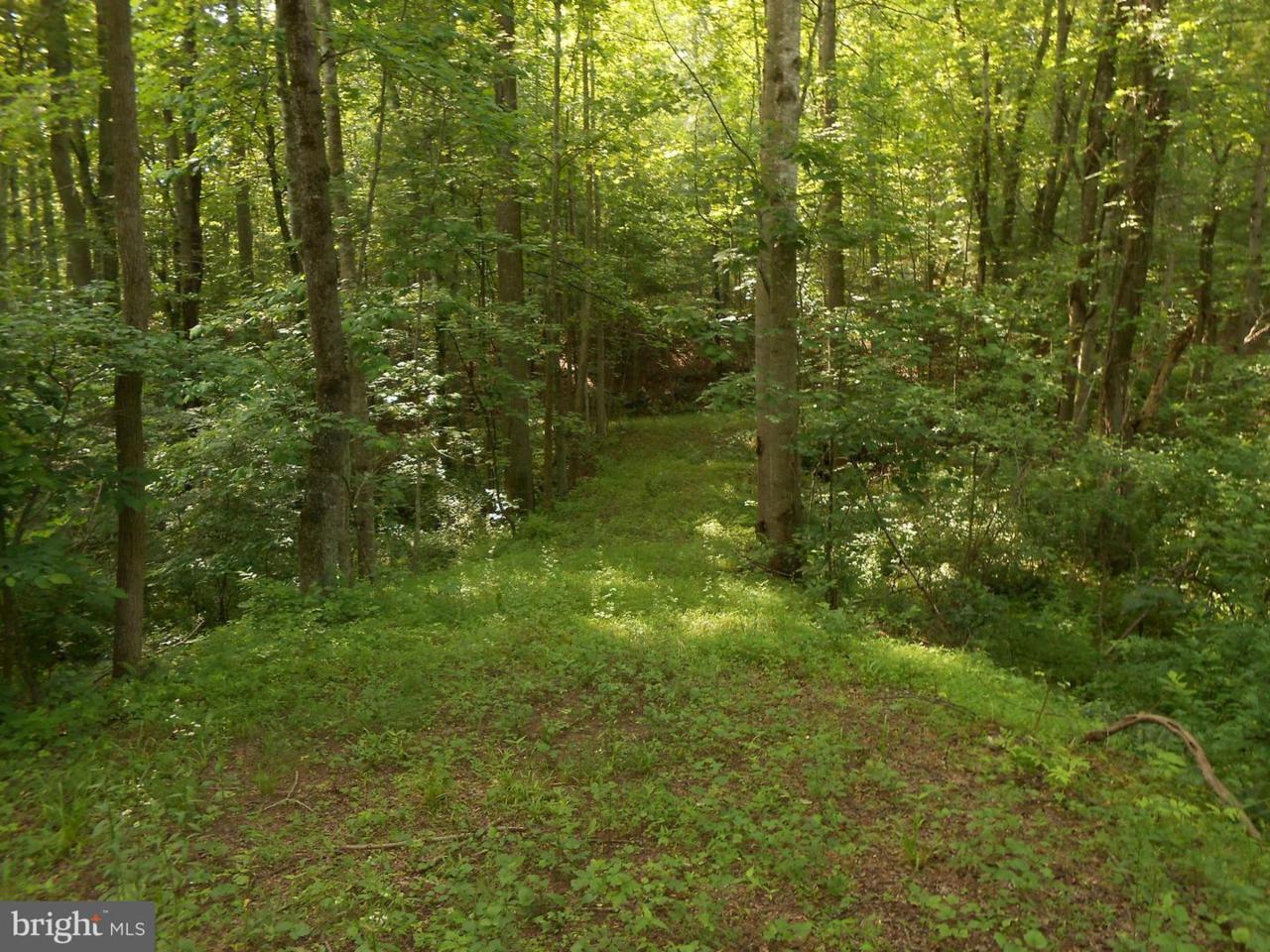 Stonehouse Mountain Road - Photo 1