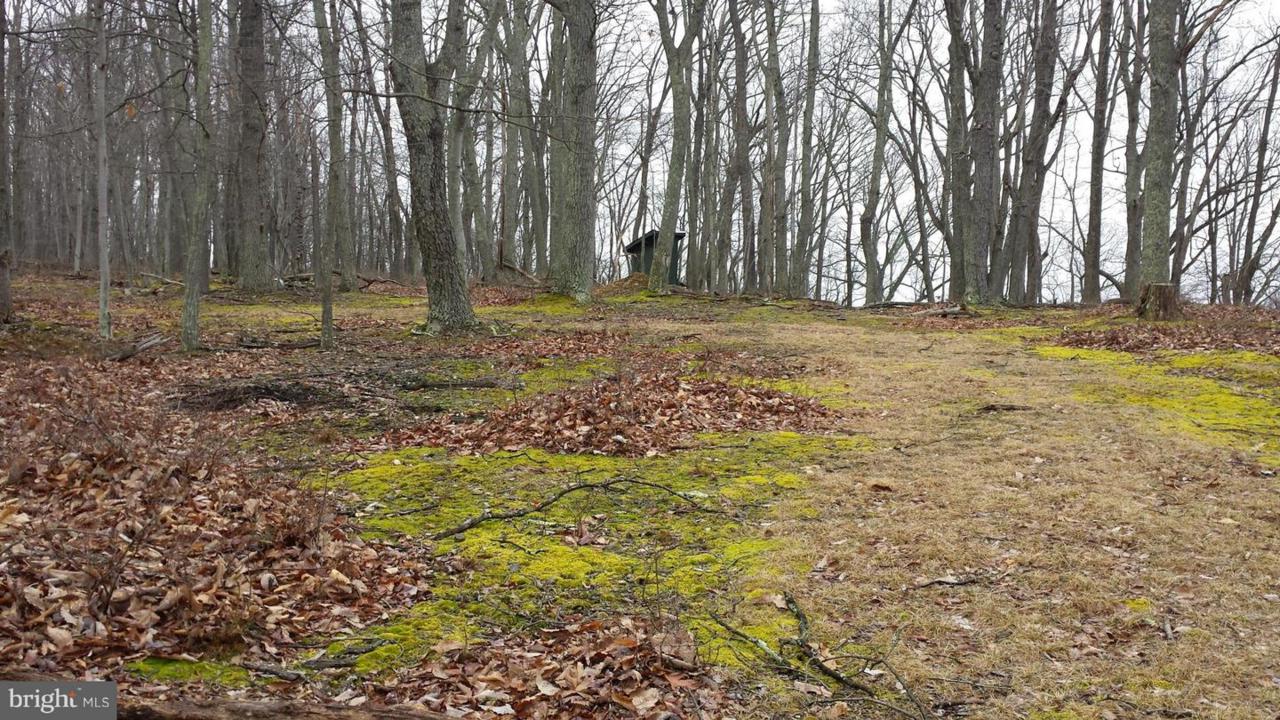 2 Off Route 220 High Knob Road - Photo 1