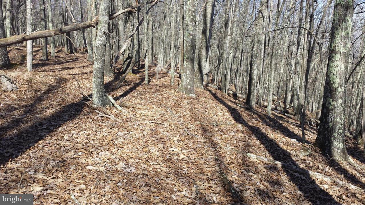 South Fork Mountain Road - Photo 1