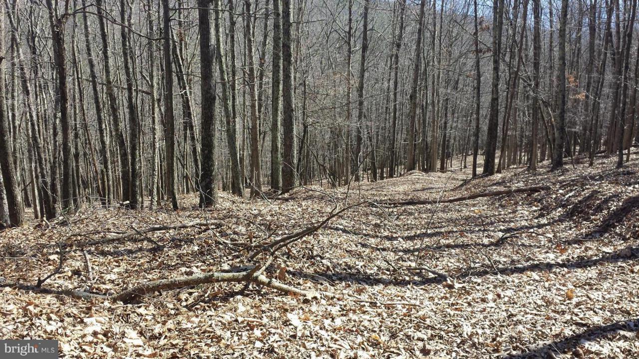 South Fork Mountain - Photo 1