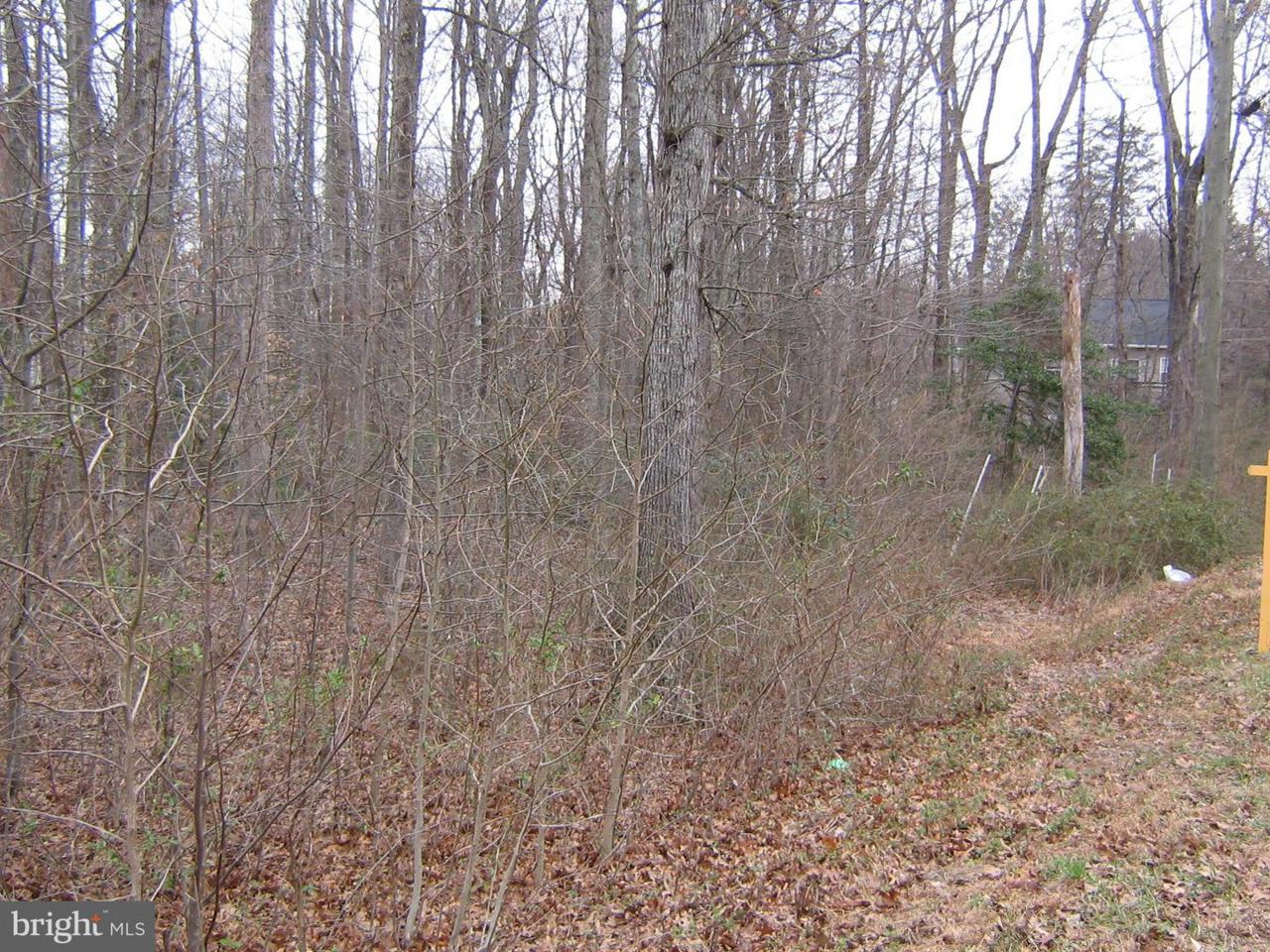 Arrowhead - Photo 1