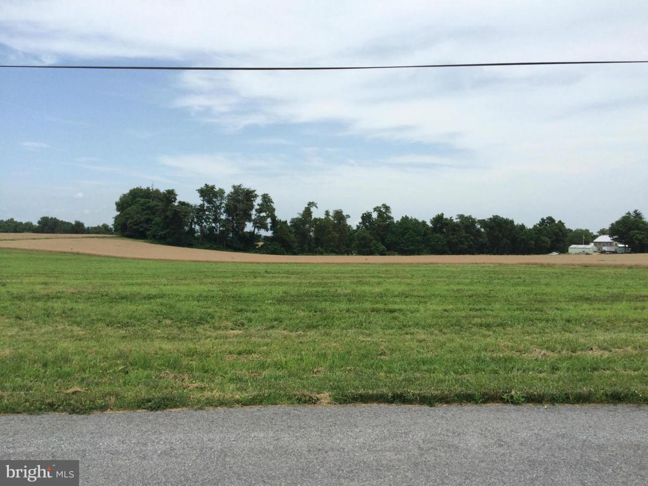 13226 Molasses Road - Photo 1