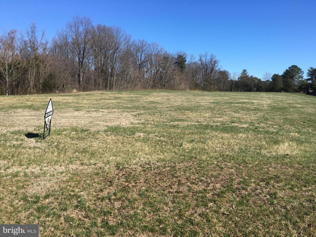 11205 North Club Drive - Photo 1